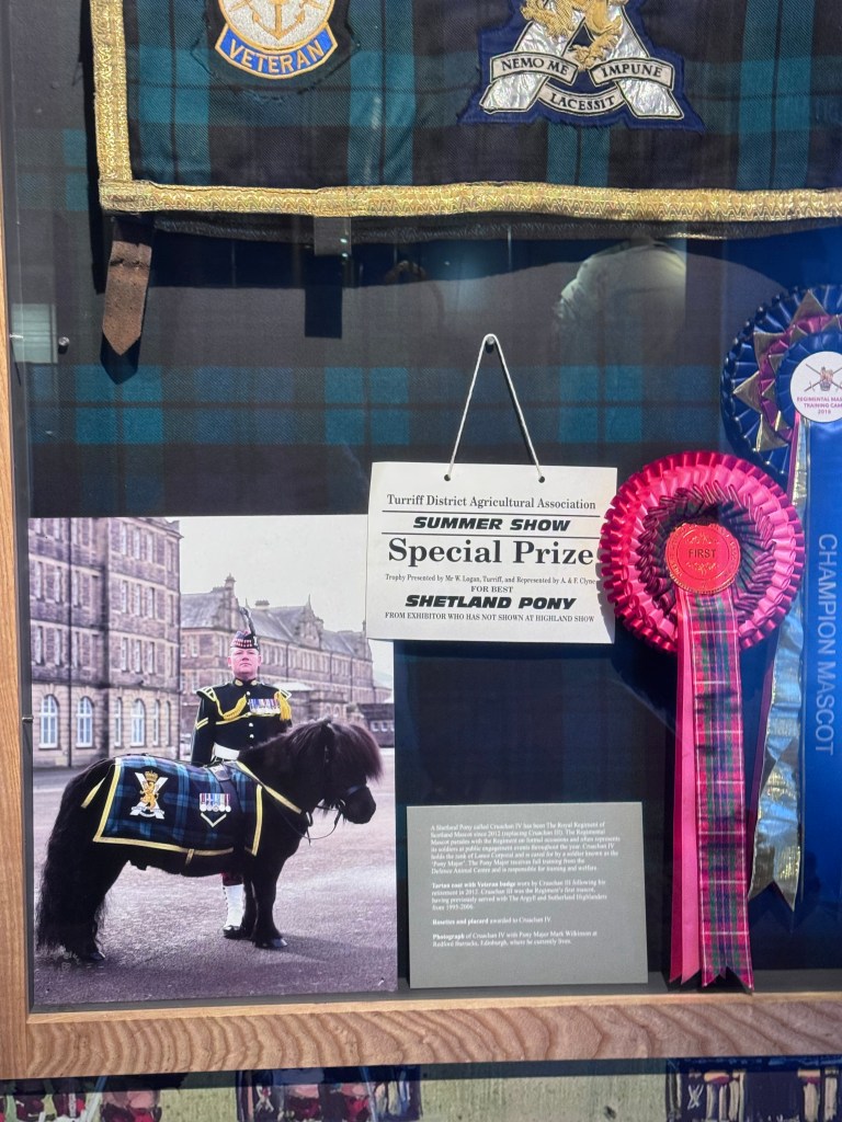 Here is the info on the Shetland Pony